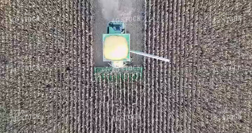 Overhead of Corn Harvest 250001