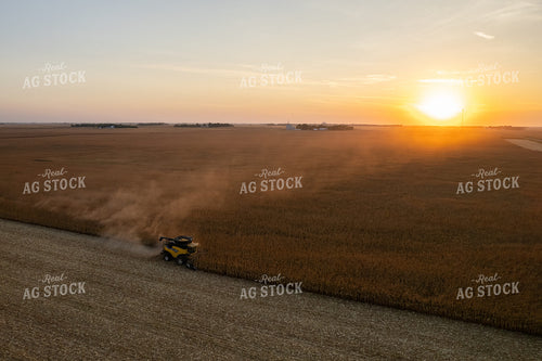Corn Harvest 255001