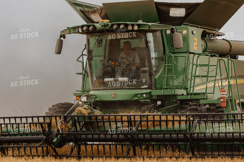 Wheat Harvest 187225