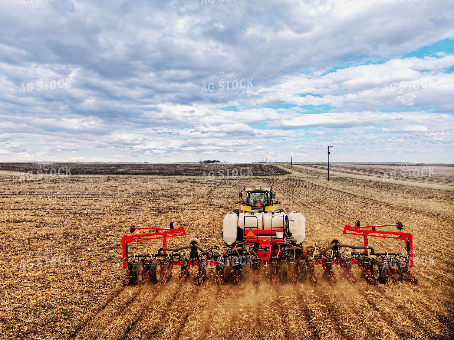 Planting 141263