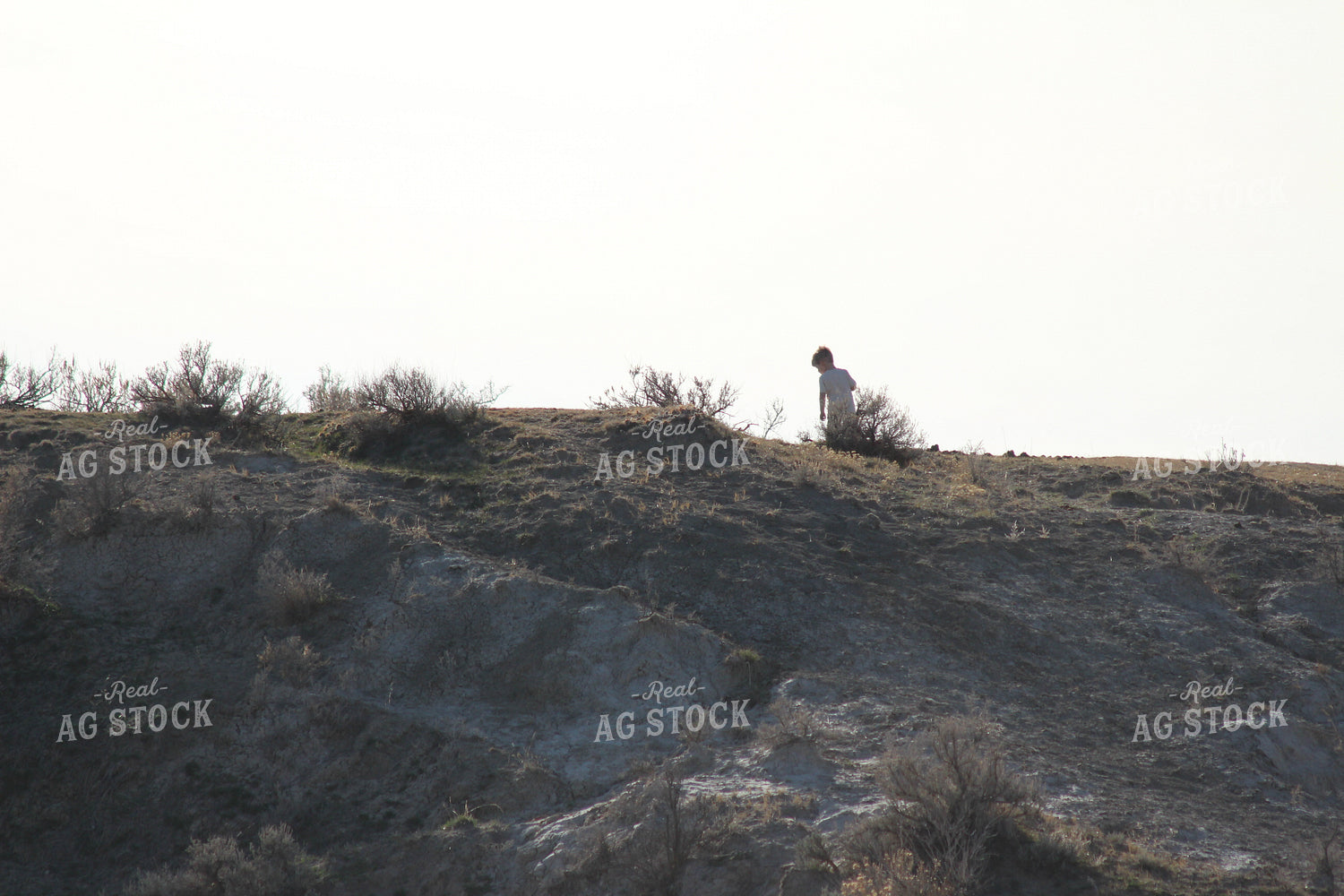 Boy in Rocky Pasture 63032