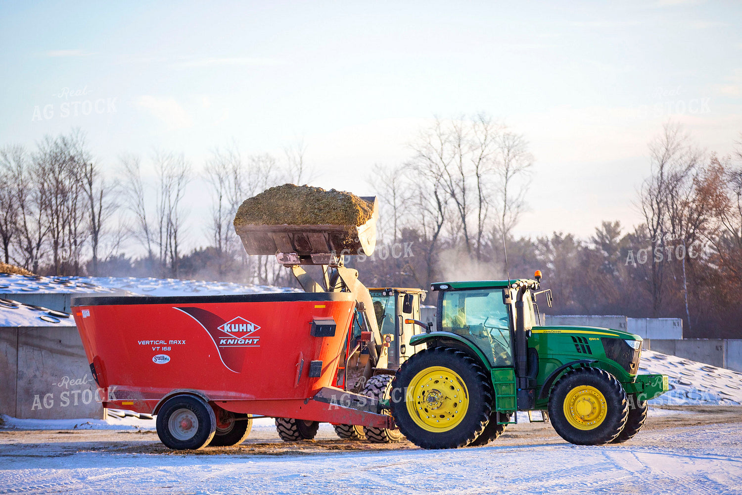 Filling Feed Mixer Tractor on Dairy Farm 55024