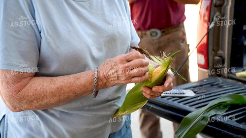 Family Shucking Sweet Corn 25249