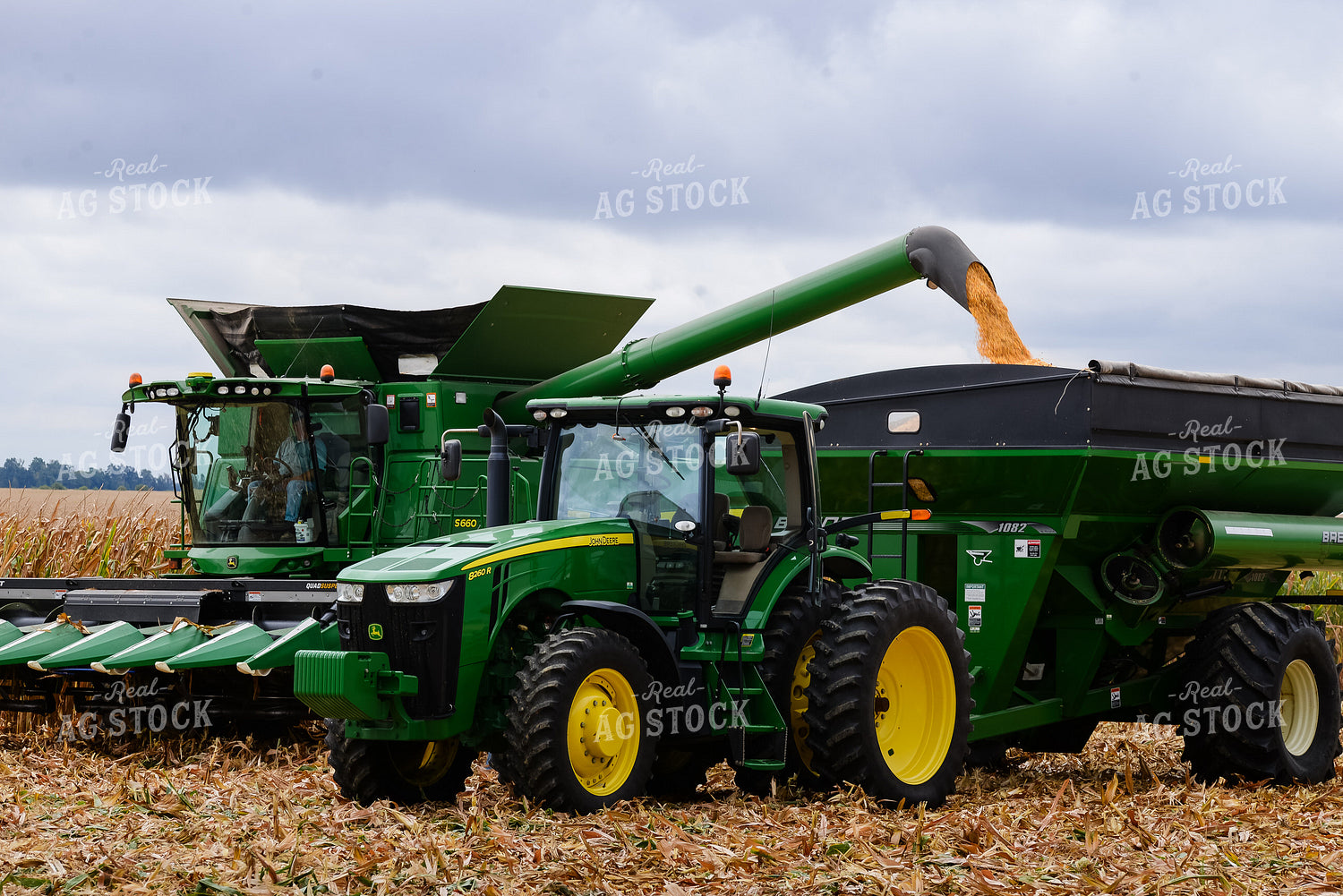 Corn Harvest 151015
