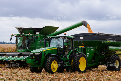 Corn Harvest 151015