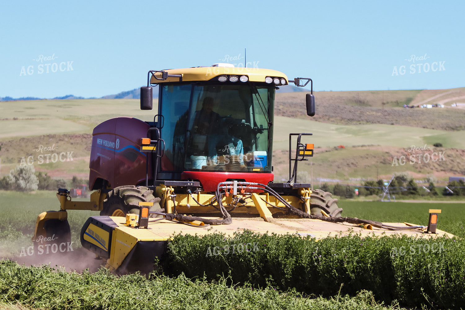 Cutting Hay 83001