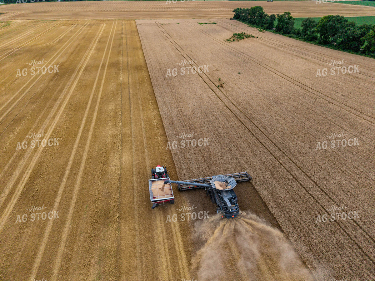 Aerial of Wheat Harvest 115968