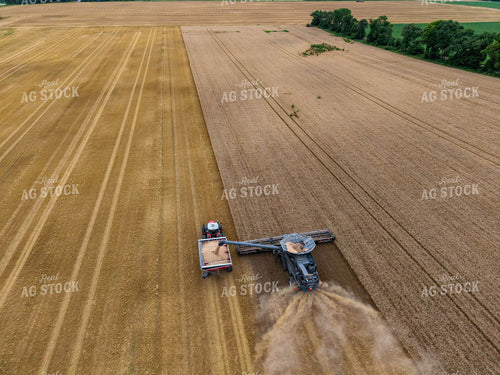 Aerial of Wheat Harvest 115968