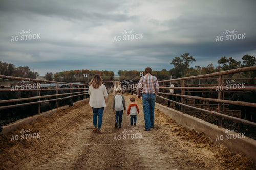 Ranch Family Checking Cattle 285027