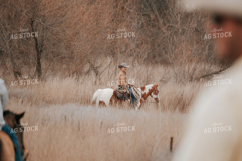 Trail Ride 205142