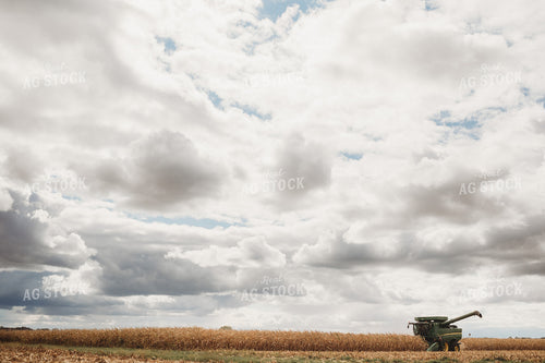 Combine Picking Corn under Cloudy Sky 3363