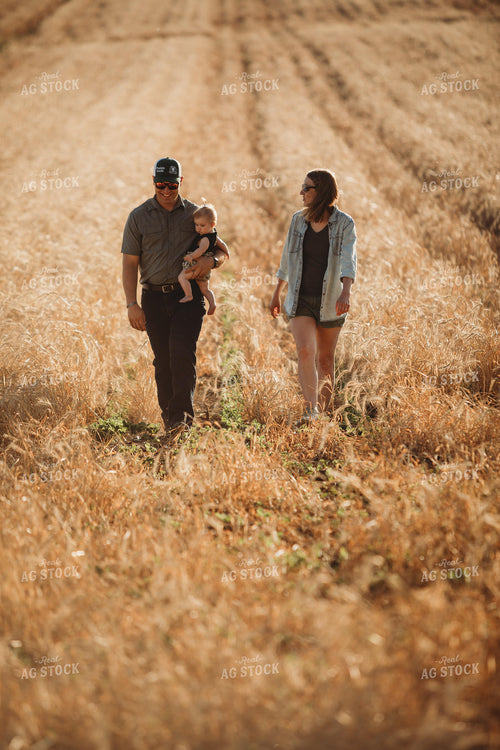 Farm Family Walking Soybean Field with Rye Cover Crop 5814
