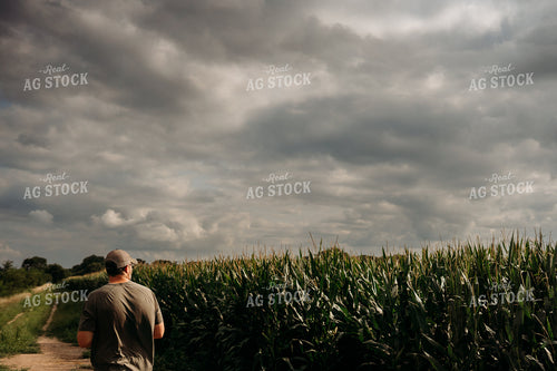 Scouting Fields With Drone 196353