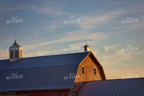 Red Barn at Sunrise 55075