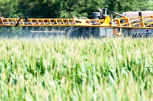 Sprayer Spraying Summer Corn 103005