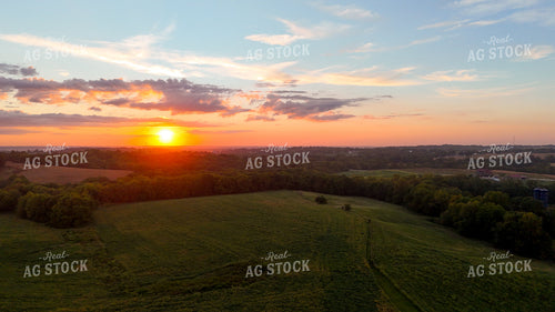Aerial of Pasture at Sunset 191280