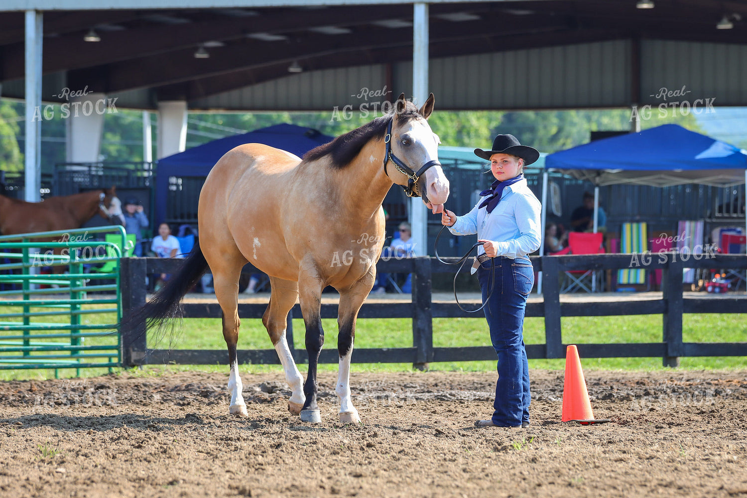 4H Kid Showing Horse 52192