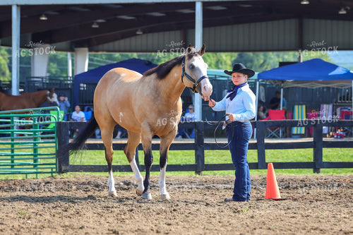4H Kid Showing Horse 52192