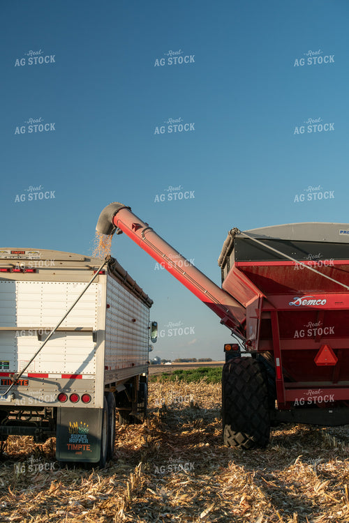 Corn Harvest 76500
