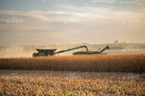 Combine Harvesting Corn and Loading Grain Cart 76087