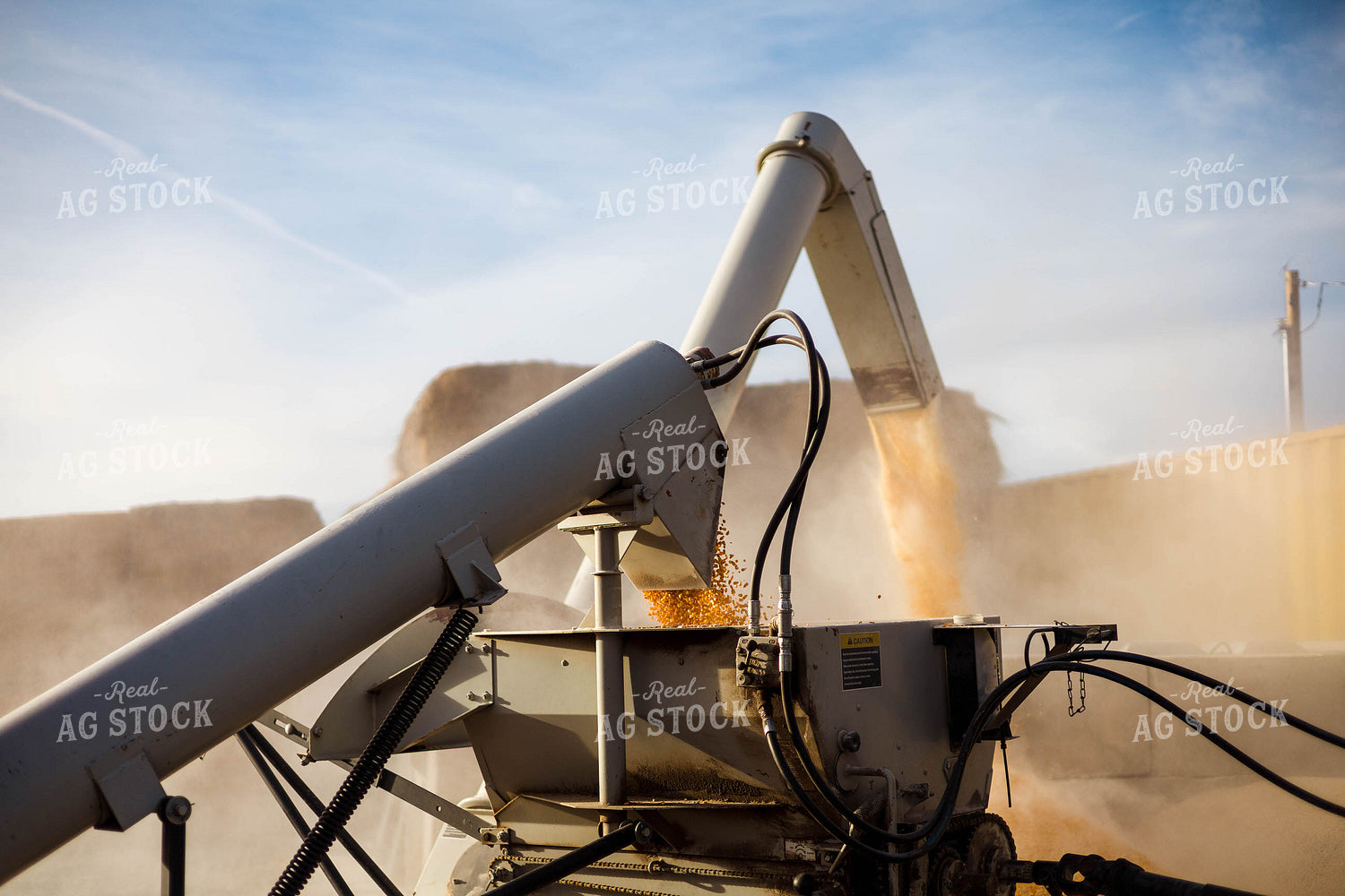 Grinding Corn to Feed Cattle 97277