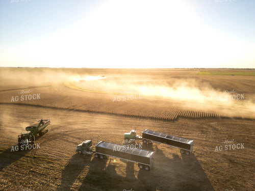 Aerial of Soybean Harvest 115608