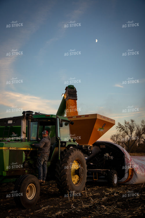 Bagging Harvested Corn 268253