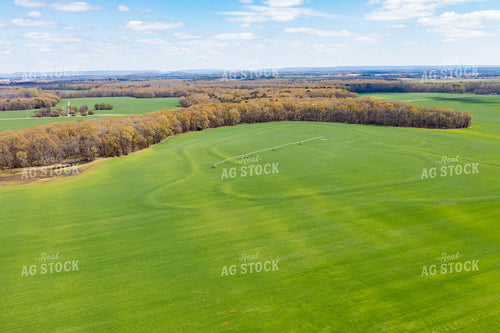 Aerial View of Farmland 79221