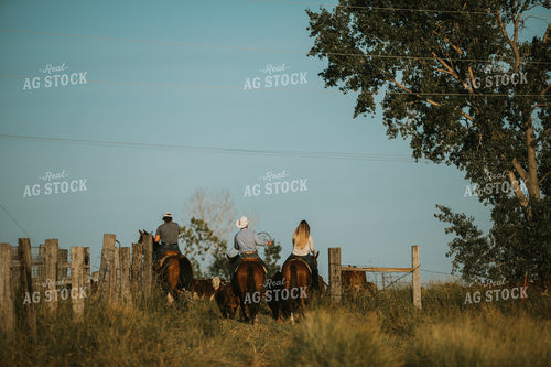 Ranchers in Pasture 6396
