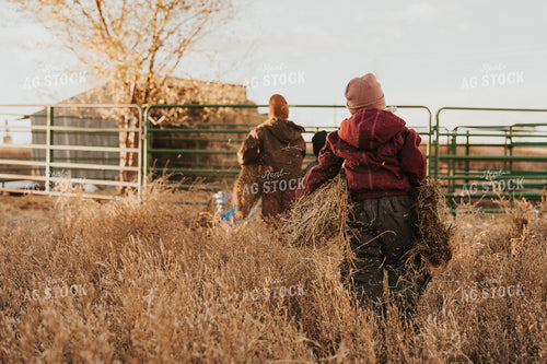 Ranch Kids Doing Chores 61242