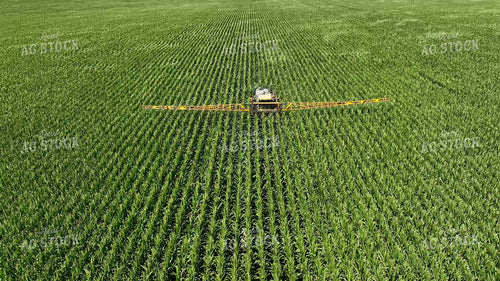 Spraying Corn 274063