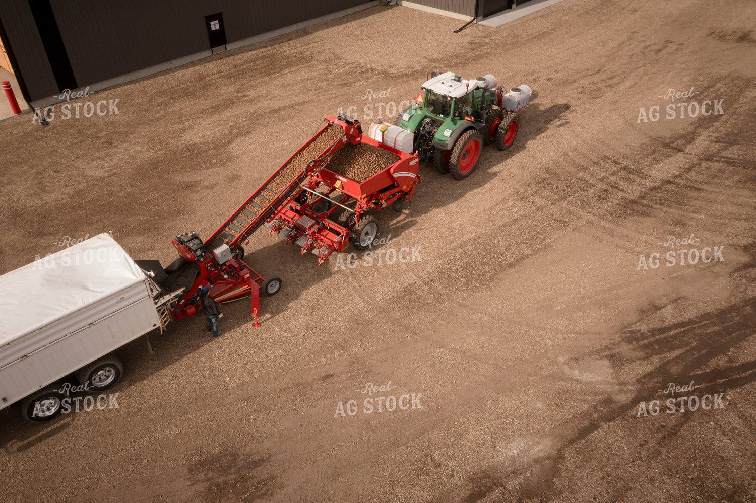 Potato Handling System 135056