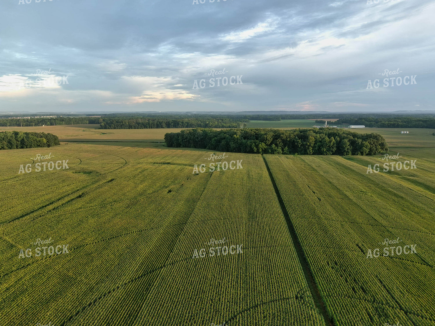 Aerial View of Farmland 79145