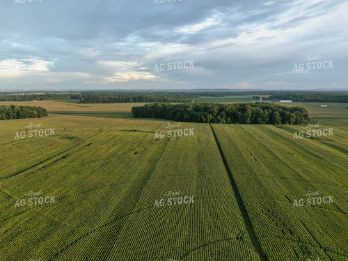 Aerial View of Farmland 79145