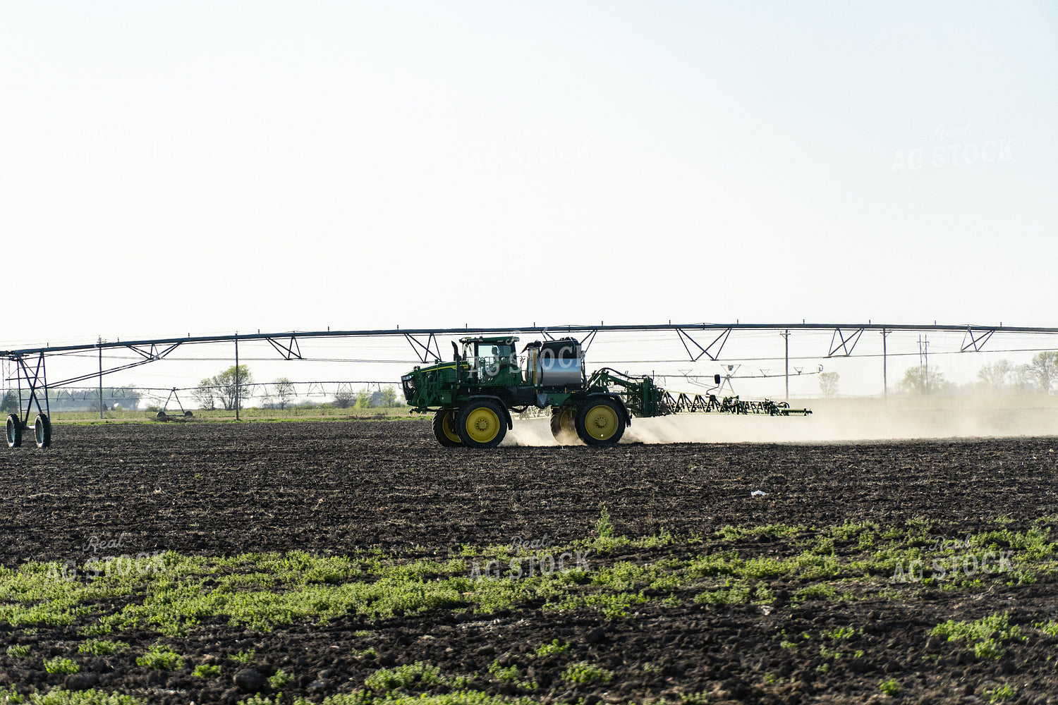 Spraying 65728
