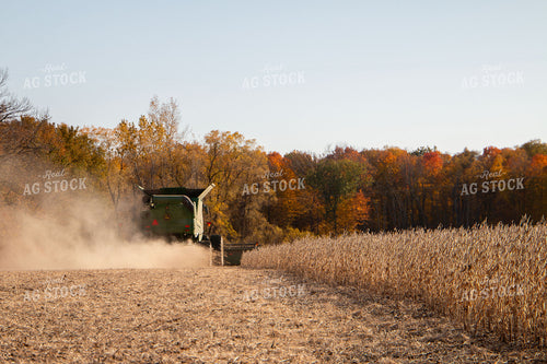 Soybean Harvest 157145