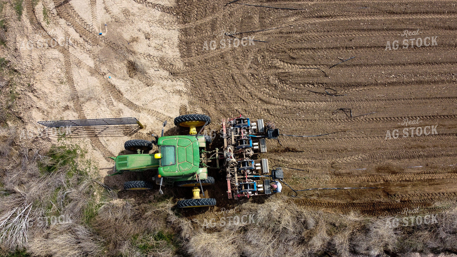 Laying Drip Irrigation Lines in Onion Field 130034