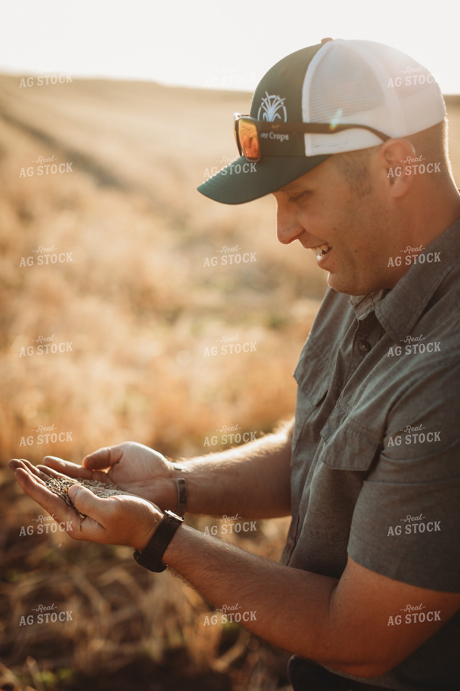 Farmer Agronomist Holding Rye Seed in Hand 5867