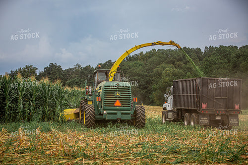 Cutting Corn Silage 270612
