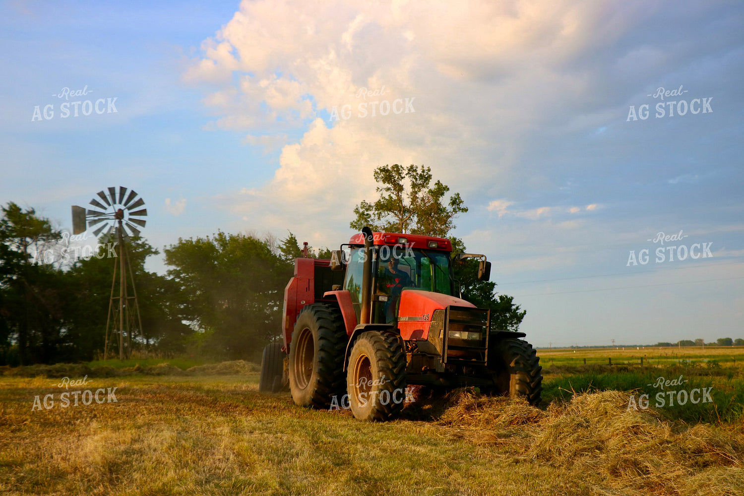 Baling Hay 299253