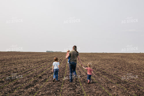Female Farmer and Daughters Play in Emerging Corn Field 67288