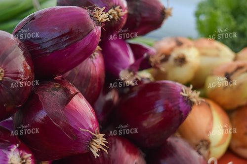 Onions 106023