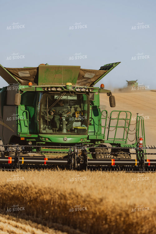 Wheat Harvest 187308