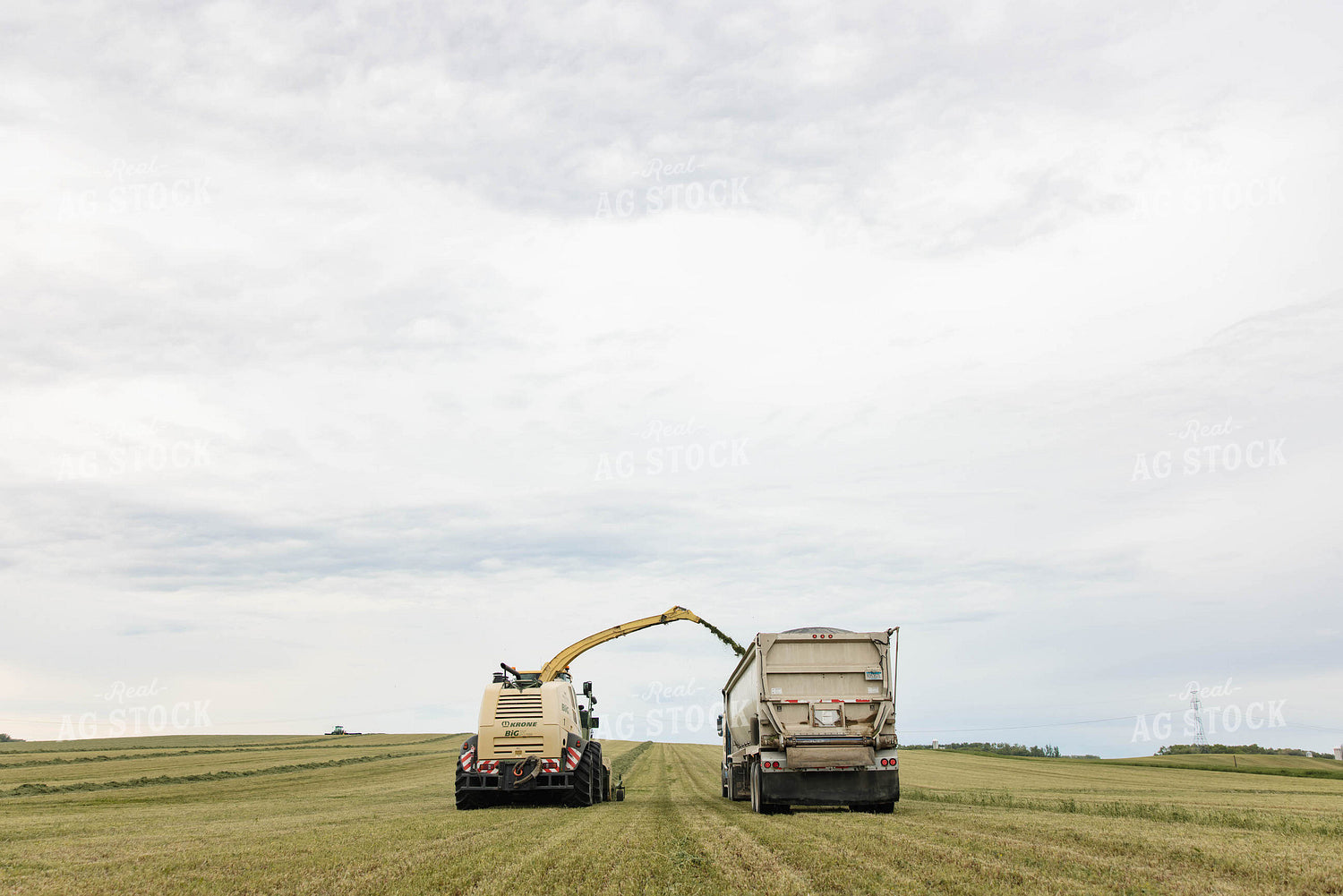 Merging Hay 152793
