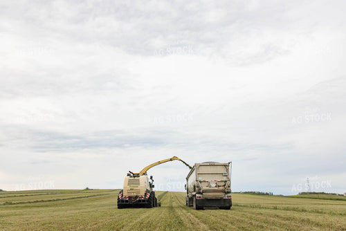 Merging Hay 152793