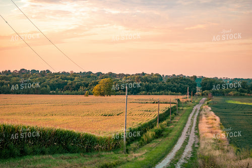 Country Road 214086