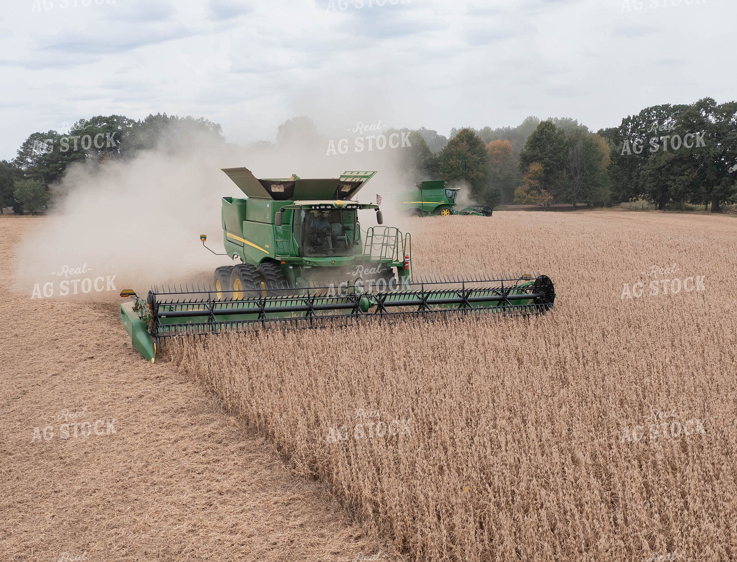 Soybean Harvest 79564