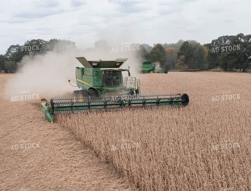 Soybean Harvest 79564