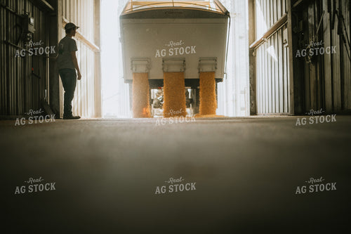 Truck Unloading Corn into Pit at Elevator 4715