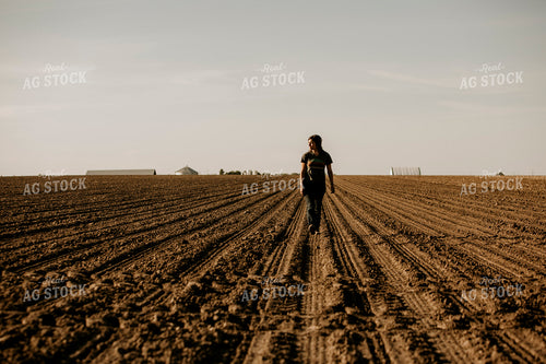 Planting 2786